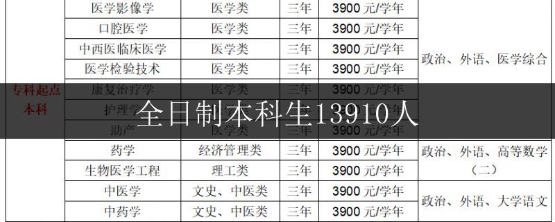 都安縣高1全日制機(jī)構(gòu)排名