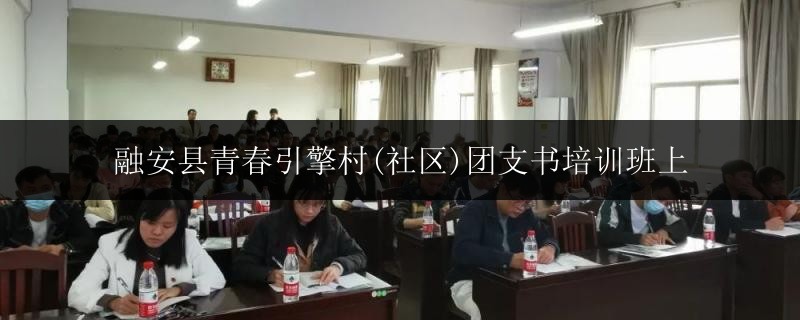 融安縣青春引擎村(社區(qū))團支書培訓班上