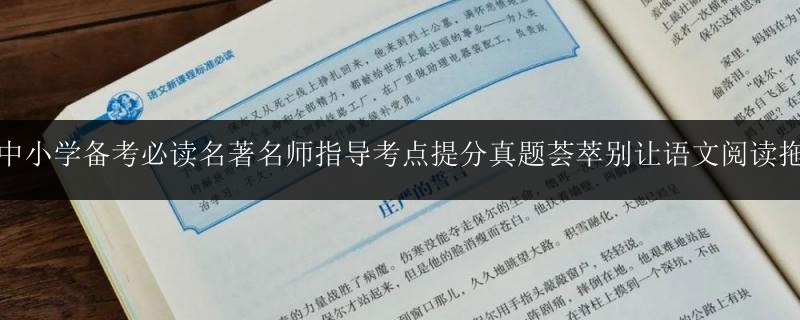 廣西省南寧市語(yǔ)文全托提分