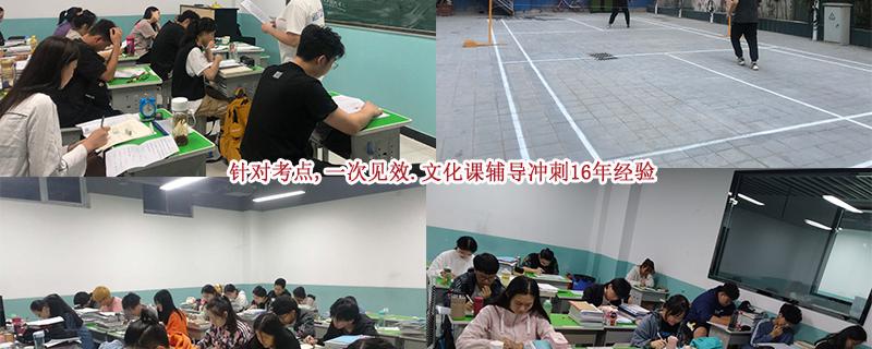 再輔以藝考生***復習專用書籍《藝考生***高分沖刺》